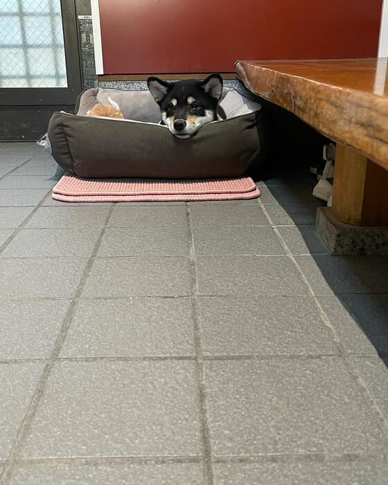 画像247