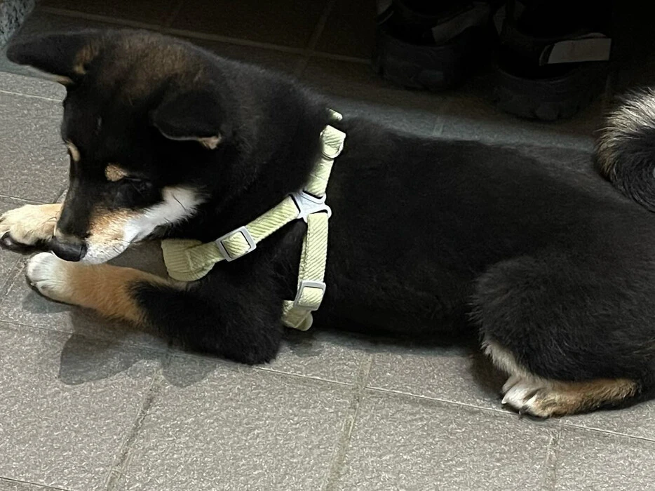 画像251