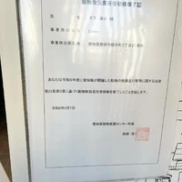 画像259