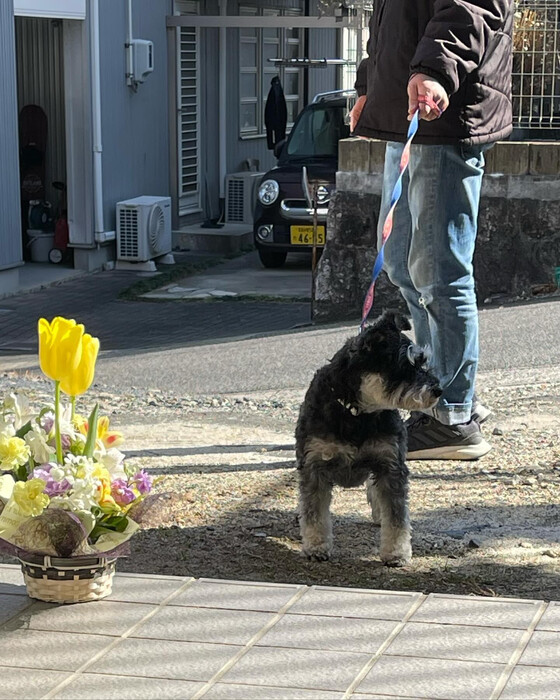 画像269