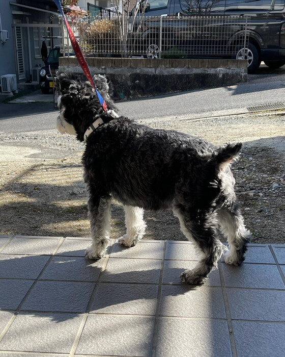 画像273