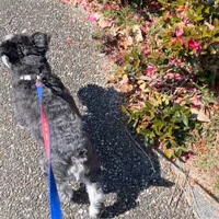 画像279