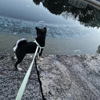 画像289