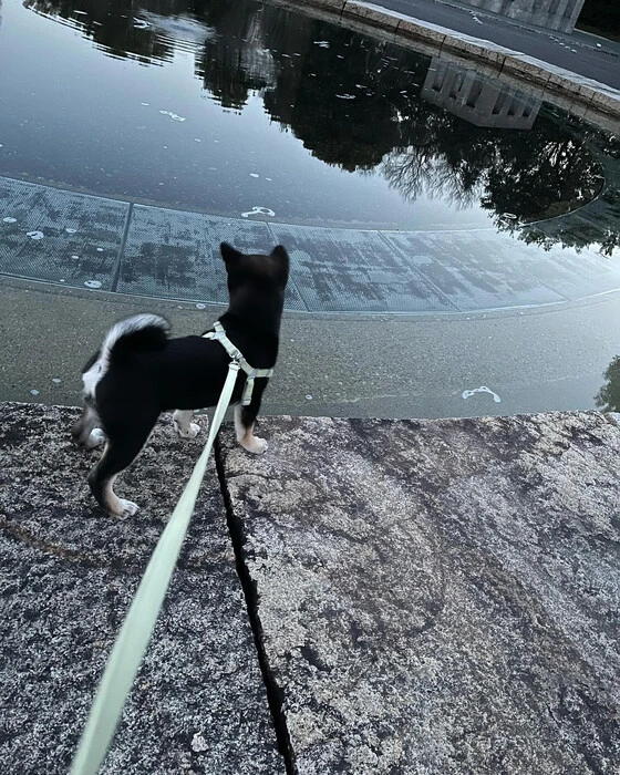 画像289